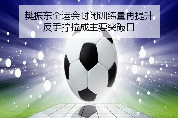 樊振东全运会封闭训练量再提升 反手拧拉成主要突破口